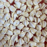 Popcorn Marshmallows - Freeze Dried Sweets - Dairy Free and Gluten Free